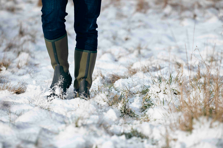 THE FROSTLINE SERIES